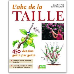 ABC taille
